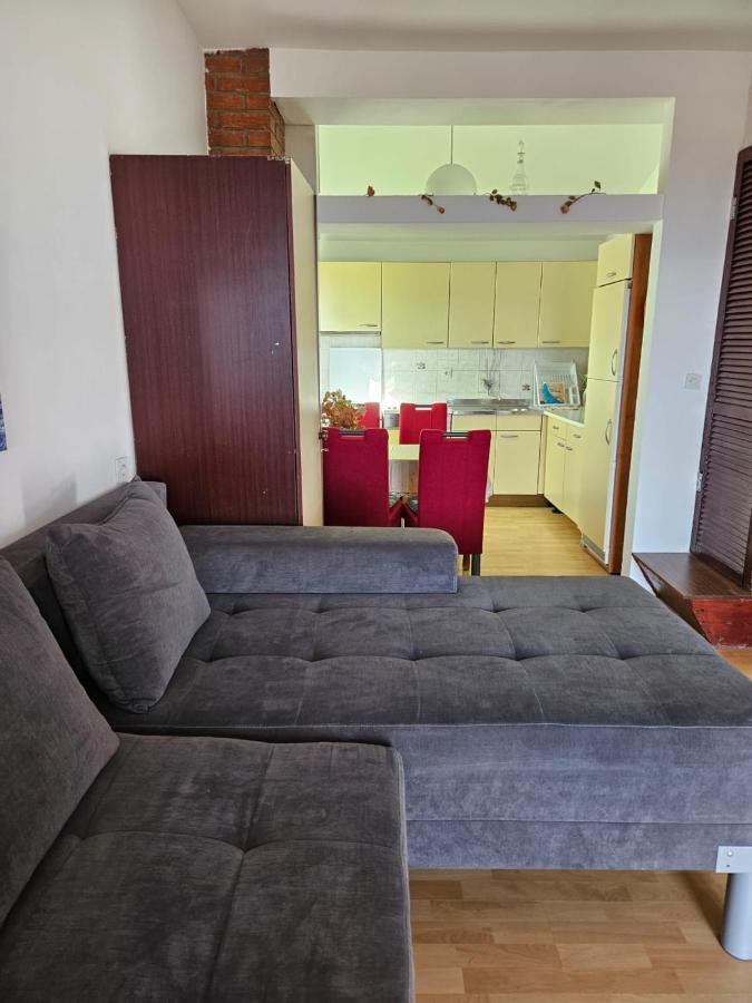 Apartments With Swimming Pool 9X4M Selce Esterno foto